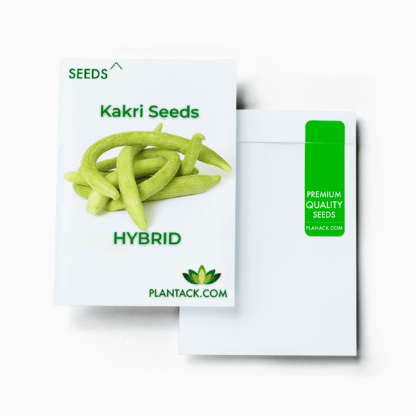 Kakri seeds by plantack