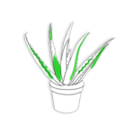 Outdoor plant online by plantack